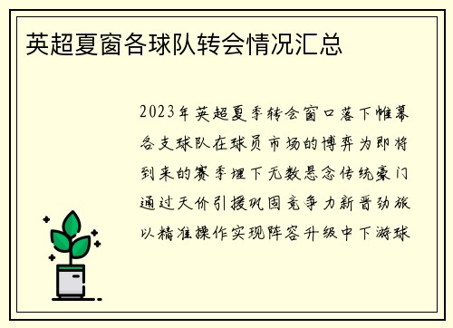 英超夏窗各球队转会情况汇总