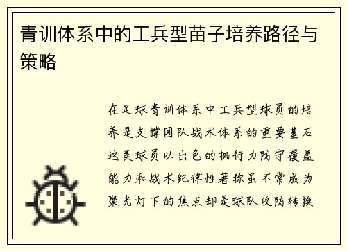 青训体系中的工兵型苗子培养路径与策略